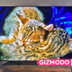 Imagen para el artículo titulado Este televisor OLED 8K de 20.000 dólares es tan bueno, que hasta casi puedo llegar a entender su precio